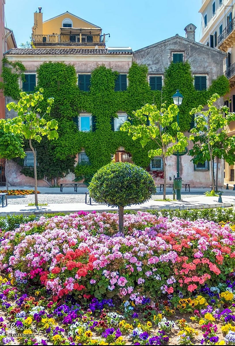 Scooter Rentals gallery 3